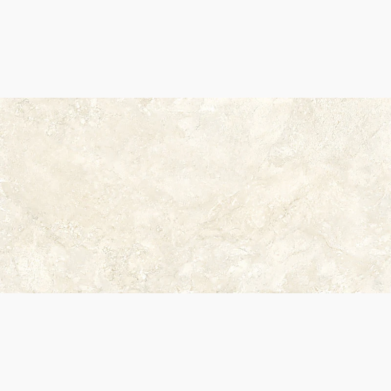 DS61